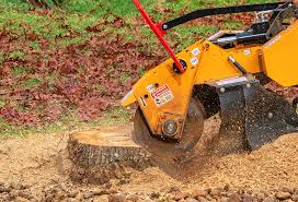 Best Stump Grinding and Removal  in Mesa, AZ